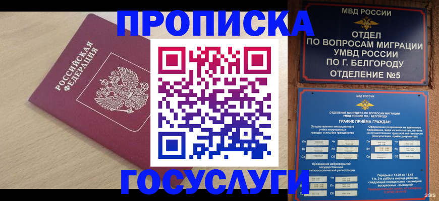 прописка законно в Александровске-Сахалинском